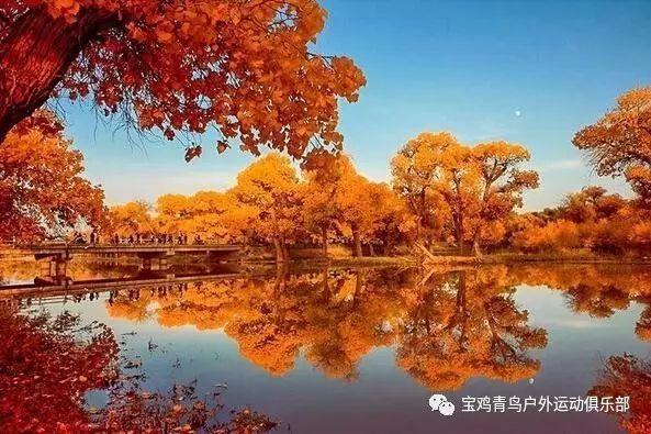 汤臣倍健携手声生不息：以科技驱动产品力，用匠心打造音乐盛宴